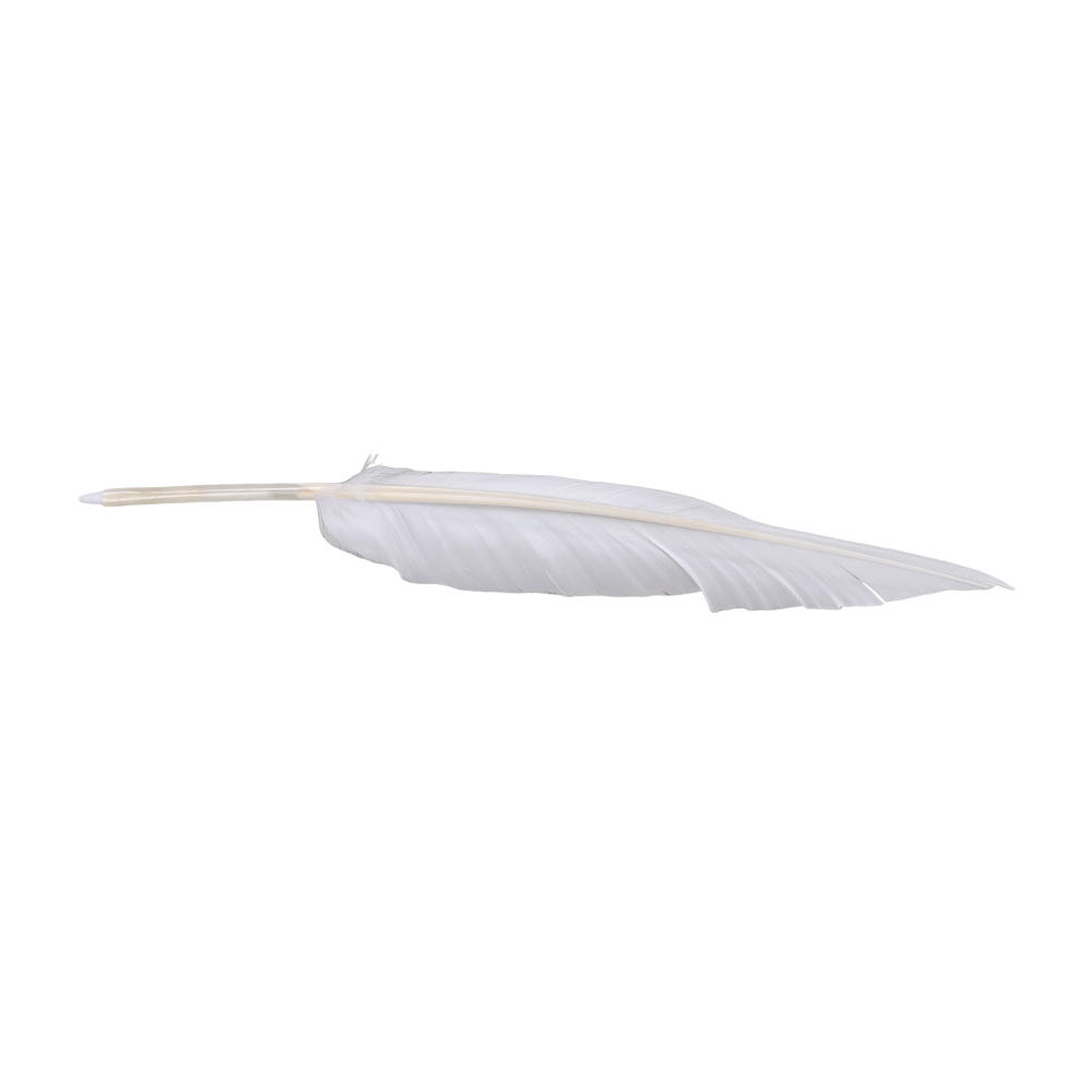Anime Sousou of Frieren Cospla - Frieren Cosplay Prop 리뷰 및 가격